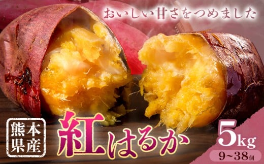 さつまいも 熊本県産 紅はるか 5kg 日本フルーツ株式会社《11月下旬-6月上旬頃出荷》熊本県 大津町 さつまいも 薩摩芋 からいも 紅はるか デザート 料理 おやつ 蜜芋 野菜 芋 いも