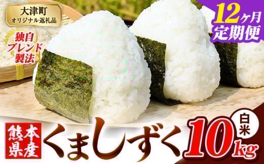 【12ヶ月定期便】白米 熊本県産 ブレンド米 くましずく 10kg 熊本県産 ふるさと納税 白米 精米 米 こめ ふるさとのうぜい コメ お米 おこめ《お申込月の翌月から出荷開始》
