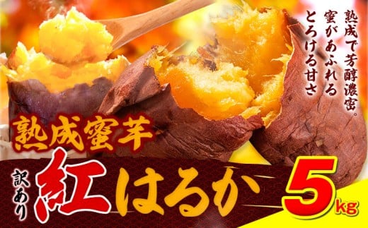 訳あり紅はるか サツマイモ 5kg 《2026年1月上旬-5月末頃出荷予定》紅はるか さつまいも 熊本県 大津町 イモ 芋 さつまいも 訳あり