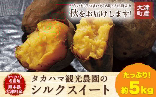 熊本県大津町産 タカハマ観光農園のシルクスイート 約5kg《2026年1月上旬-4月末頃出荷》 さつまいも 芋