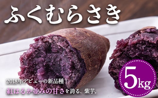 熊本県大津町産 ふくむらさき 5kg《2026年1月上旬-5月末頃出荷》 タカハマ観光農園 さつまいも 芋 紫芋 高糖度