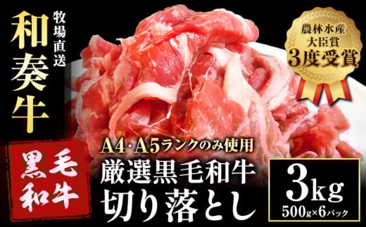 厳選 くまもと黒毛和牛 切り落とし 3kg ( 1パック 500g ) 《30日以内に出荷予定(土日祝除く)》熊本県 大津町 和牛焼肉LIEBE くまもと黒毛和牛 切り落とし 冷凍 リーベ
