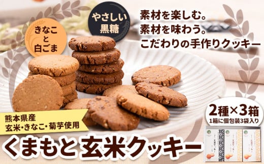 くまもと 玄米クッキー 2種×3箱(1箱に3袋入) 株式会社阿蘇自然の恵み総本舗 《30日以内に出荷予定(土日祝除く)》熊本県 大津町 クッキー 玄米 きなこ ごま 黒糖 スイーツ お菓子 菊芋 FSSC22000取得