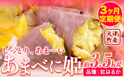 3ヶ月定期便 熊本県 大津町産 あまべに姫 (紅はるか) 約3.5kg ガブレス《12月から出荷開始》さつまいも 芋 紫芋 高糖度