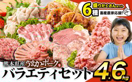 数量限定★生産者応援★ 豚肉 小分け バラエティ セット うまか ポーク 1セット しゃぶしゃぶ 切り落とし 豚ロース バラ 豚バラ 豚バラ肉 スライス 4.6kg 4600g 4kg 以上 真空 お楽しみセット 不揃い 数量限定 簡易包装 冷凍配送 [30日以内に出荷予定(土日祝除く)]