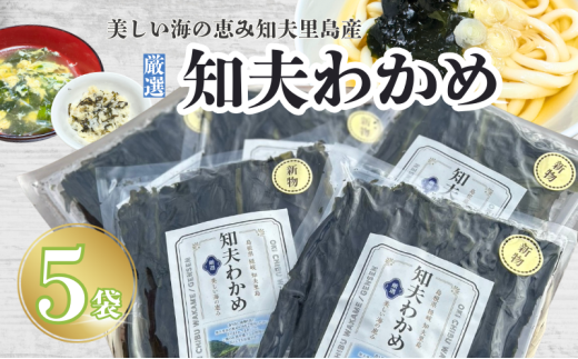【知夫里産】養殖わかめ 5袋セット 国産 ワカメ 海藻 天然 お手軽 味噌汁 スープ 料理 サラダ 島根県 隠岐 知夫村