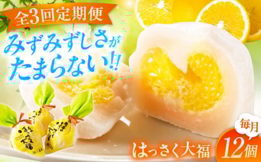 【全3回定期便】お菓子 はっさく大福12個入 お菓子 大福 八朔 柑橘 みかん オレンジ 餅 ギフト お取り寄せ スイーツ フルーツ大福 ご当地 菓子 おかし デザート 食品 人気 おすすめ 果汁 広島県産 特産品 産地直送 お取り寄せ 贈り物 ギフト 贈答品 絶品 和菓子 定期便 国産 白あん 個包装 逸品 定期便 福山スイーツ  広島県福山市/株式会社虎屋本舗[BADH014]
