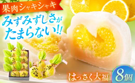 お菓子 はっさく大福8個入  お菓子 大福 八朔 柑橘 みかん オレンジ 餅 ギフト お取り寄せ スイーツ フルーツ大福 ご当地 菓子 おかし デザート 食品 人気 おすすめ 果汁 広島県産 特産品 産地直送 お取り寄せ 贈り物 ギフト 贈答品 絶品 和菓子 定期便 国産 白あん 個包装 逸品 定期便 福山スイーツ 広島県福山市/株式会社虎屋本舗[BADH021]