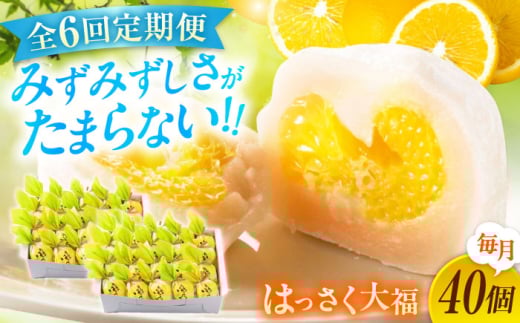 【全6回定期便】お菓子 はっさく大福20個入×2 お菓子 大福 八朔 柑橘 みかん オレンジ 餅 ギフト お取り寄せ スイーツ フルーツ大福 ご当地 菓子 おかし デザート 食品 人気 おすすめ 広島県 柑橘 果汁 広島県産 特産品 産地直送 お取り寄せ 贈り物 ギフト 贈答品 絶品 和菓子 定期便 国産 白あん 個包装 逸品 定期便 福山スイーツ 広島県福山市/株式会社虎屋本舗[BADH035]