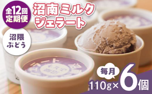 【全12回定期便】アイス 沼南ミルクジェラート 沼隈ぶどう ６個 ぶどう ブドウ アイスクリーム ジェラート デザート スイーツ マスカット ニューベリーA 果汁 ご当地 グルメ お取り寄せ 冷凍 贈答 贈り物 ギフト お土産 濃厚 さっぱり ミルク 新鮮 果物 特産品 美味しい おいしい カップアイス 夏 冬 おやつ 贅沢 家族 誕生日 定期便 広島県福山市/甚ごろう [BAEC044]