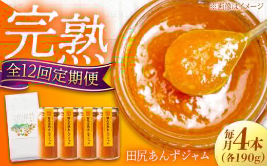 【全12回定期便】 ジャム 田尻完熟あんずジャム (4本) 果物 トースト フルーツ ジャム あんず パン 甘い 菓子 菓子パン 食パン デザート ヨーグルト ペースト スイーツ 完熟 甘味 朝ごはん 人気 おすすめ 美味しい グルメ お取り寄せ ギフト 贈り物 プレゼント セット 詰め合わせ フルーツジャム 国産 定期便 全12回 広島県福山市/有限会社勉強堂 [BAFL010]