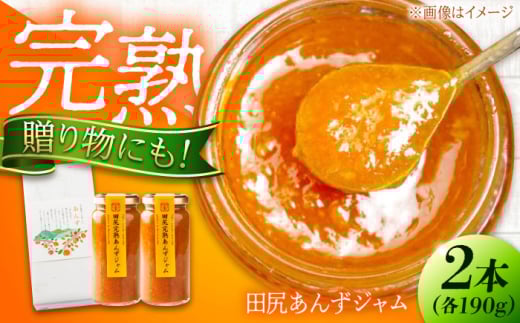 ジャム 田尻完熟あんずジャム (2本) ジャム 果物 あんず パン 甘い 菓子 朝ごはん 広島県福山市/有限会社勉強堂 ふるさと納税 あんずジャム 杏 アプリコット フルーツジャム 果物 コンフィチュール パンのお供 ヨーグルト 朝食 ギフト プレゼント 人気 おすすめ 送料無料 瓶詰 完熟あんず 広島県産 手作り トースト スコーン トッピング 贈り物 贈答用 [BAFL011]
