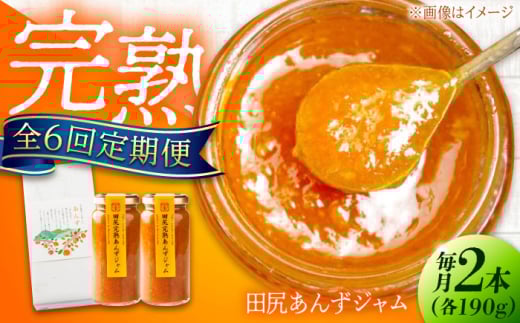 【全6回定期便】 ジャム 田尻完熟あんずジャム (2本) 果物 トースト フルーツ ジャム あんず パン 甘い 菓子 菓子パン 食パン デザート ヨーグルト ペースト スイーツ 完熟 甘味 朝ごはん 人気 おすすめ 美味しい グルメ お取り寄せ ギフト 贈り物 プレゼント セット 詰め合わせ フルーツジャム 国産 アフタヌーンティー広島県福山市/有限会社勉強堂[BAFL013]