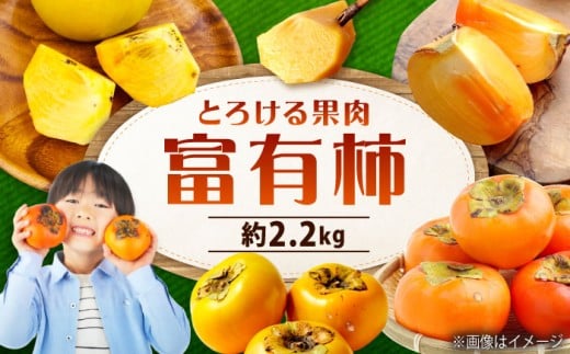 柿 先行予約 【令和7年11月中旬以降発送】 福山市産 富有柿 2.2kg かき 甘柿 甘がき フユウガキ 人気 おすすめ 美味しい グルメ お取り寄せ ギフト 贈り物 プレゼント フルーツ 果物 産地直送 旬 国産 瀬戸内 秋の味覚 送料無料 甘い スイーツ デザート おやつ 旬の果物 くだもの 旬のフルーツ 広島県産 広島 福山市/株式会社フジ・アグリフーズ [BAGF004]
