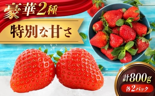 苺 「もういっこ・紅ほっぺ」200ｇ×4パックセット もういっこ 紅ほっぺ いちご イチゴ セットフルーツ 果物 スイーツ 苺ジャム おやつ べにほっぺ ジャム ヨーグルト ケーキ 甘味 パフェ 甘い 酸味 バランス 艶 4パック 人気 おすすめ ギフト プレゼント 贈答 食後の デザート ショートケーキ くだもの 洋菓子 焼き菓子 広島県福山市/株式会社ラフテル [BAGD001]