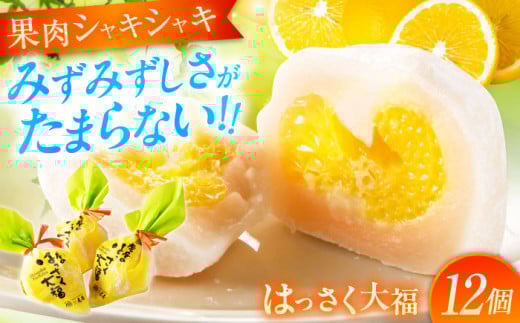 フルーツ大福 はっさく大福 12個 入 お菓子 大福 八朔 柑橘 みかん オレンジ 餅 ギフト お取り寄せ スイーツ ご当地 菓子 おかし デザート 食品 人気 おすすめ  広島県福山市/株式会社虎屋本舗 フルーツデザート お土産 生菓子 和菓子 プレゼント 甘味 甘党 広島 福山 白あん 甘さ控えめ 福山スイーツ お取り寄せ ギフト グルメ スイーツ[BADH012]