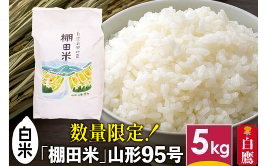 【白米】山形県産 棚田米 白鷹ほまれ 5kg 山形95号 令和7年産 米 お米 精米 コメ おこめ ごはん ご飯 白米 5キロ 【2025年10月下旬順次出荷予定】
