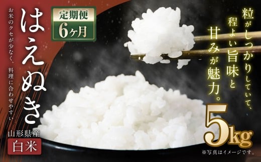【6ヶ月定期便】【令和7年産新米】〈白米〉 はえぬき 5kg×6回 計30kg 山形県産 新米 お米 【2025年11月上旬発送開始予定】