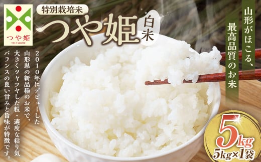 [令和7年産新米][白米]つや姫 5kg [1回のお届け] (特別栽培米) 山形県産 しらたかのお米 [2025年11月上旬発送開始予定]