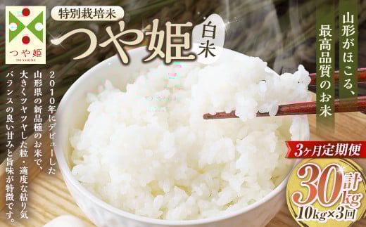 【3ヶ月定期便】【令和7年産新米】〈白米〉 つや姫 10kg×3回(特別栽培米) 山形県産 しらたかのお米 【2025年11月上旬発送開始予定】