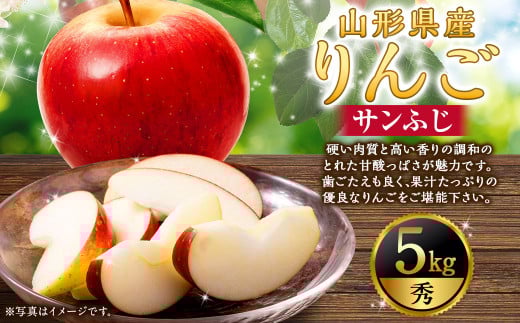 りんご (サンふじ・秀) 5kg 山形県産 フルーツ 果物 【2025年11月下旬-12月上旬発送予定】