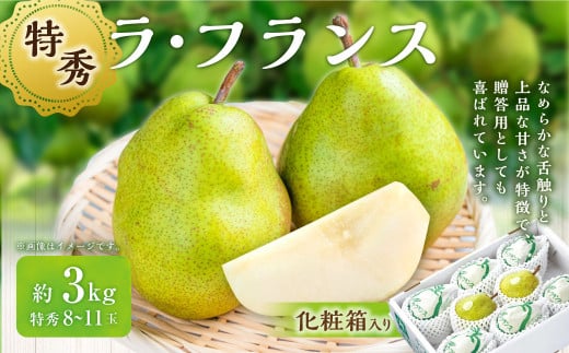 ラ・フランス (特秀) 3kg 【化粧箱入り】 山形県産 フルーツ 果物 【2025年11月上旬-12月上旬発送予定】