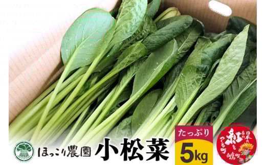 山形県白鷹町産 とれたて小松菜（5kg）個数限定 国産 旬 野菜 やさい こまつな