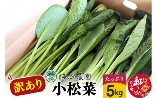 山形県白鷹町産【訳あり】とれたて小松菜（5kg）個数限定 国産 旬 野菜 やさい こまつな