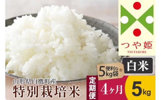 《定期便4ヶ月》【白米】つや姫 5kg×4回(特別栽培米)令和5年産 山形県産 しらたかのお米