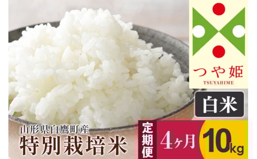 《定期便4ヶ月》【白米】つや姫 10kg×4回(特別栽培米)令和5年産 山形県産 しらたかのお米