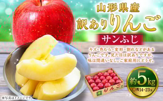 【訳あり品】 りんご(サンふじ・〇秀) 約5kg 14玉~23玉   リンゴ 林檎 果物 【2025年11月下旬~12月上旬発送予定】