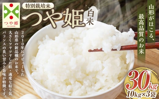 【令和7年産新米】〈白米〉 つや姫 計30kg 10kg×3袋 <1回のお届け> (特別栽培米) お米 米 コメ こめ 白米 ごはん ご飯 精米 令和7年産 国産 【2025年11月上旬発送開始予定】