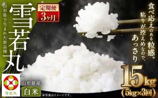 [3ヶ月定期便][令和7年産新米][白米] 雪若丸 5kg×3回 山形県産 (5kg袋小分け) 精米 [2025年11月上旬発送開始予定]