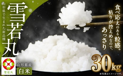 【令和7年産新米】〈白米〉 雪若丸 30kg <1回のお届け> 山形県産 精米 【2025年11月上旬発送開始予定】