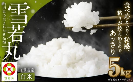 【令和7年産新米】〈白米〉 雪若丸 5kg <1回のお届け>  山形県産 精米 【2025年11月上旬発送開始予定】