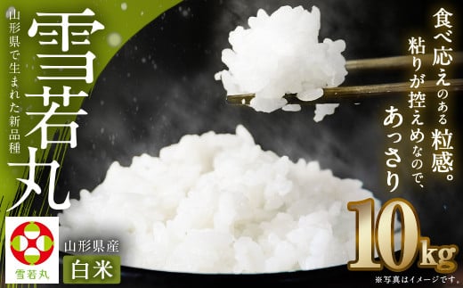 【令和7年産新米】〈白米〉 雪若丸 10kg <1回のお届け>  山形県産 精米 【2025年11月上旬発送開始予定】