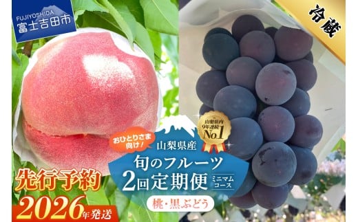 【2026年発送 先行予約】【ミニマム 2回定期便】厳選 旬のフルーツ定期便（桃3玉・黒ぶどう1房）