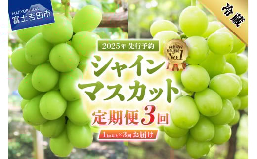 [2025年発送][3回定期便]ジューシーで甘さ抜群 厳選シャインマスカット1kg以上×3回配送 シャインマスカット ぶどう 果物 フルーツ 旬 山梨県 2025年 山梨 富士吉田市