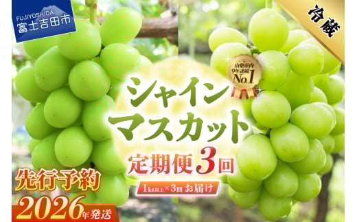 【2026年発送 先行予約】【3回定期便】ジューシーで甘さ抜群 厳選シャインマスカット1kg以上×3回配送 シャインマスカット ぶどう 果物 フルーツ 旬 山梨県 2026年 山梨 富士吉田市