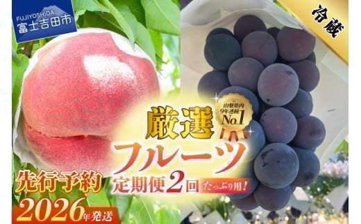 【2026年発送 先行予約】【2回定期便】厳選 旬のフルーツ定期便（桃2kg・黒ぶどう1kg以上）
