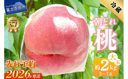 やまもも　大玉　予約専用　6月30日予約開始 楽天市場】☆桃EX 6個 ○山梨の高級桃○大玉○糖度13度以上