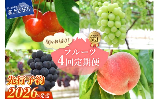 【数量限定】4回お届けフルーツ定期便 フルーツ シャインマスカット もも さくらんぼ 黒ぶどう 定期便 数量限定 山梨 富士吉田