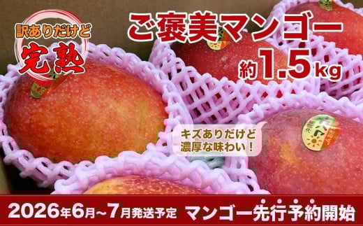 【2026年発送・先行予約】訳あり南城市観光協会イチ推し!ご褒美アップルマンゴー 1.5kg