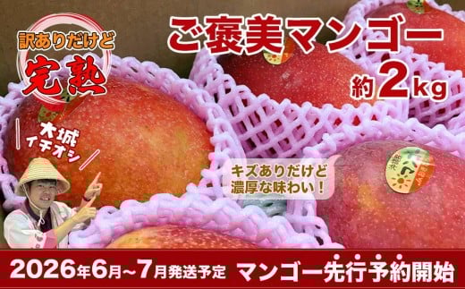 【2026年発送・先行予約】ご家庭用ご褒美アップルマンゴー 2kg