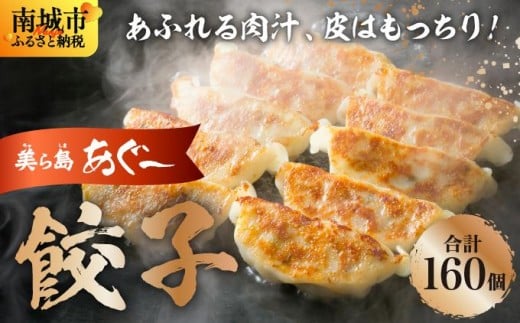 【美ら島あぐ~】餃子(160個入り/8パック×20個入り)