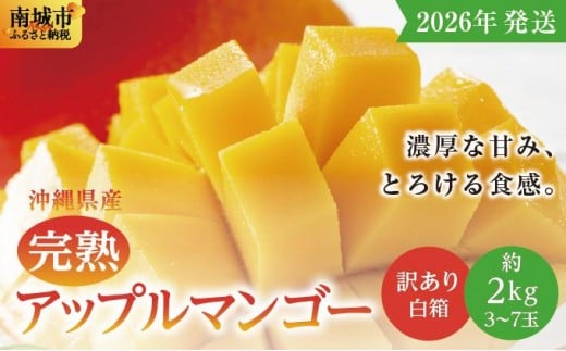 ★【2026年発送】<訳あり・ご家庭用>完熟アップルマンゴー約2kg(白箱)3玉~7玉