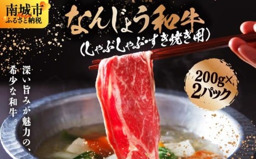 《極上の味わい》和牛しゃぶしゃぶ用 200g×2パック 合計400g なんじょう和牛|黒毛和牛 しゃぶしゃぶ 牛肉 沖縄県 南城市 送料無料【TM01】