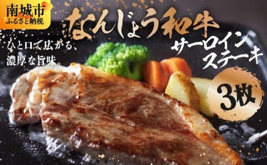 《極上の味わい》和牛サーロイン 約150~200g×3枚 なんじょう和牛|サーロインステーキ 黒毛和牛 ステーキ 真空パックでお届け 沖縄県 南城市 牛肉 送料無料【TM02】