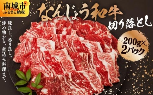 《使い勝手抜群!!》 和牛切り落とし 200g×2パック なんじょう和牛 合計400g |黒毛和牛 和牛 切り落とし モモ ウデ バラ 沖縄県 南城市 牛肉【TM03】