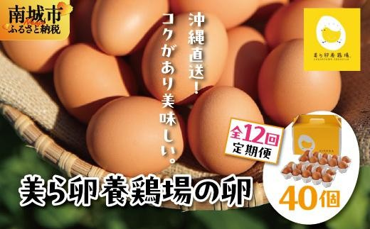 卵の黄身が掴めるほどの新鮮さ 美ら卵養鶏場の卵 40個【12ヶ月定期便】   I  たまご タマゴ  卵 美ら卵 養鶏場 美ら卵 新鮮  養鶏場  定期便   40個   沖縄県 南城市 ふるさと納税 有限会社 美ら卵養鶏場